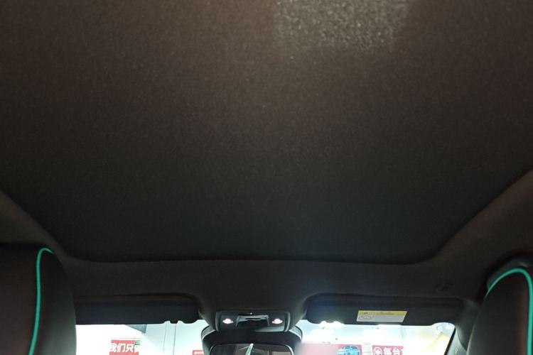 Used BYD Dolphin 2025 Intelligent Driving Version 520km Range Knight Edition Headliner