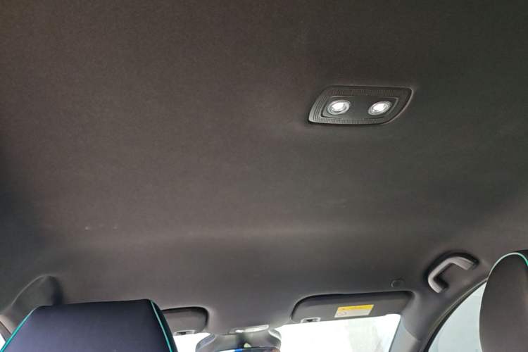 Used BYD Dolphin 2025 Smart Drive Version 420 km Freedom Edition Headliner
