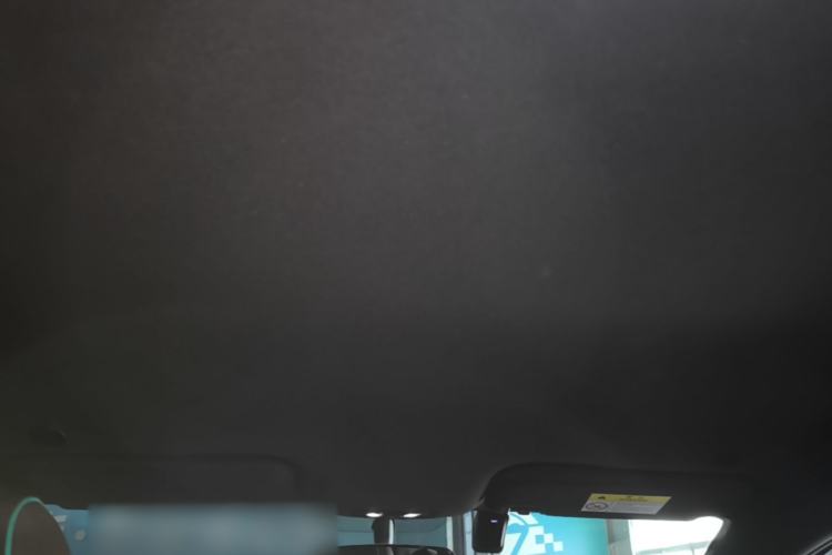 Used BYD Dolphin 2025 420km Free Edition Headliner