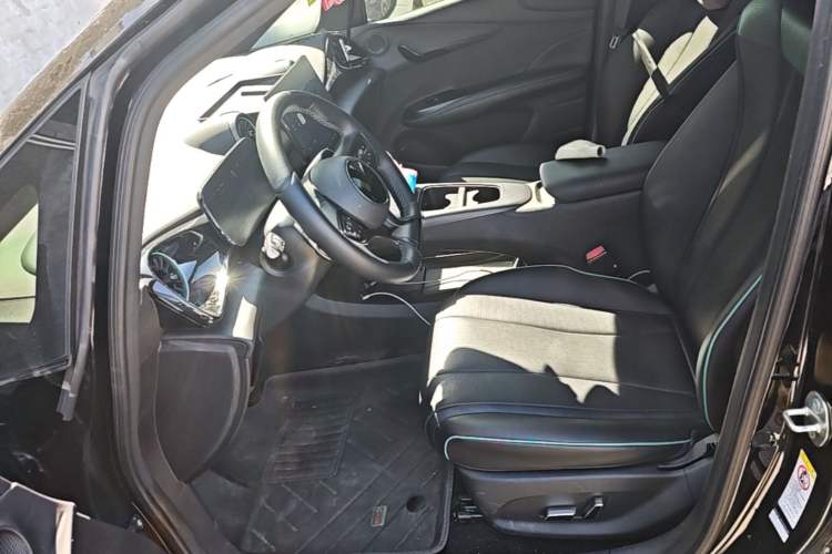 Used BYD Dolphin 2025 Smart Drive Version 420 km Freedom Edition Left Front Seat