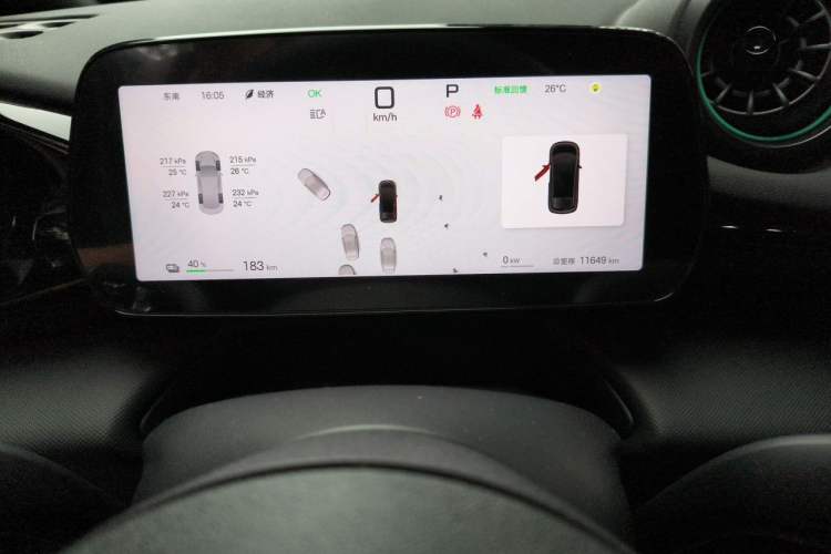 Used BYD Dolphin 2025 Smart Drive Version 420 km Freedom Edition Odometer Close Up
