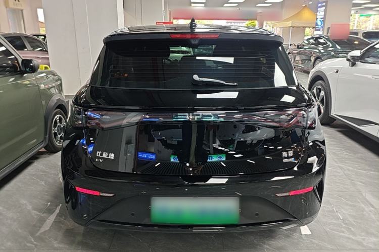Used BYD Dolphin 2025 Intelligent Driving Version 520km Range Knight Edition Rear