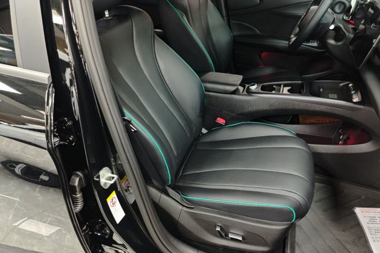 Used BYD Dolphin 2025 Intelligent Driving Version 520km Range Knight Edition Right Front Seat