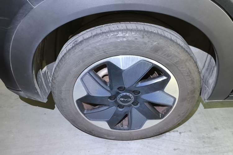 Used BYD Dolphin 2025 420km Free Edition Right Rear Wheel Hub