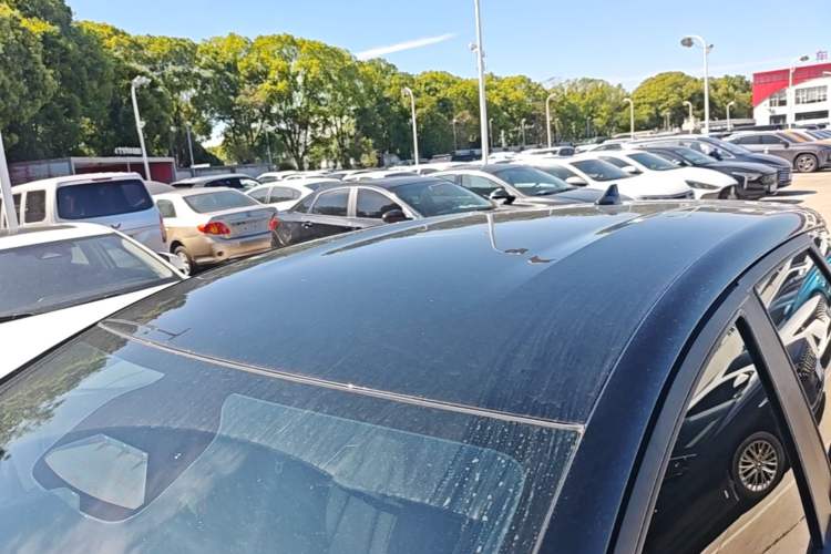 Used BYD Dolphin 2025 Smart Drive Version 420 km Freedom Edition Roof