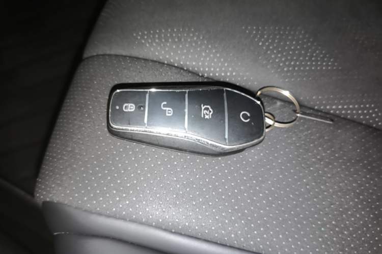 Used BYD Dolphin 2025 420km Free Edition Vehicle Key