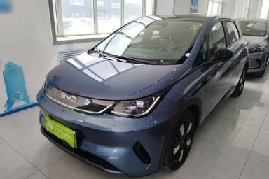 Used BYD Dolphin 2025 Intelligent Driving Version 410 km Fashion Edition