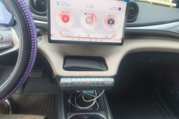 Used BYD Dolphin 2025 420km Free Edition Audio And AC Panel