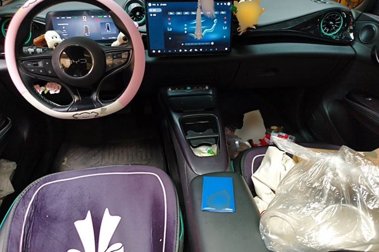 Used BYD Dolphin 2025 Intelligent Driving Version 410 km Fashion Edition Center Console