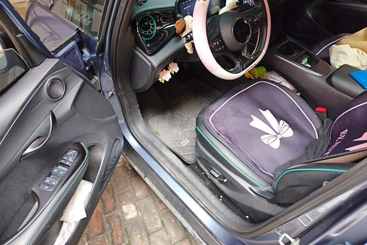 Used BYD Dolphin 2025 Intelligent Driving Version 410 km Fashion Edition Driver Seat