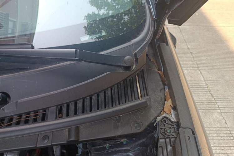 Used BYD Dolphin 2025 Intelligent Driving Version 410 km Fashion Edition Engine Bay Left