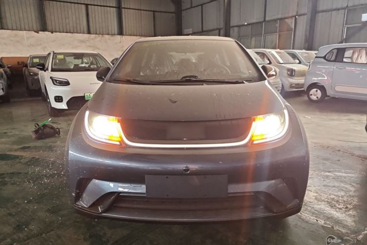 Used BYD Dolphin 2025 420km Free Edition Front