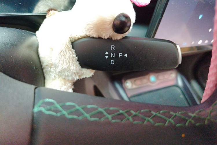 Used BYD Dolphin 2025 Intelligent Driving Version 410 km Fashion Edition Gear Lever