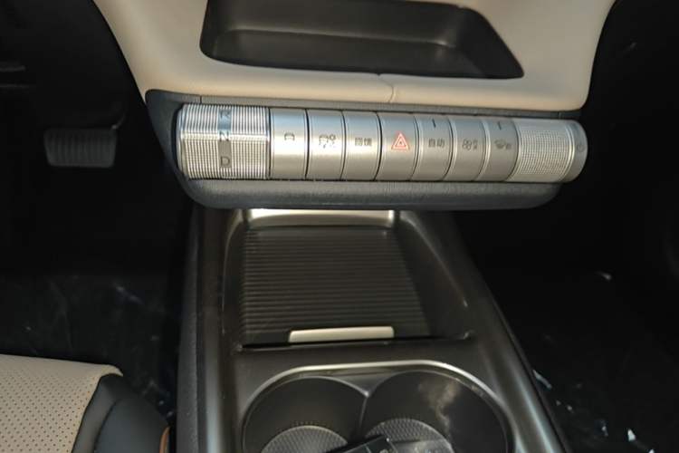 Used BYD Dolphin 2025 420km Free Edition Gear Lever