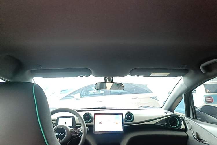Used BYD Dolphin 2025 420km Active Version Headliner