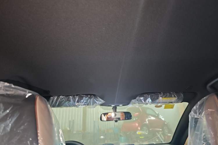Used BYD Dolphin 2025 420km Free Edition Headliner