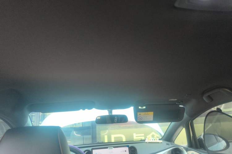 Used BYD Dolphin 2025 420km Free Edition Headliner