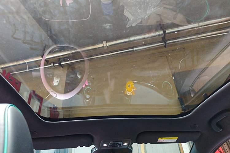 Used BYD Dolphin 2025 Intelligent Driving Version 410 km Fashion Edition Headliner
