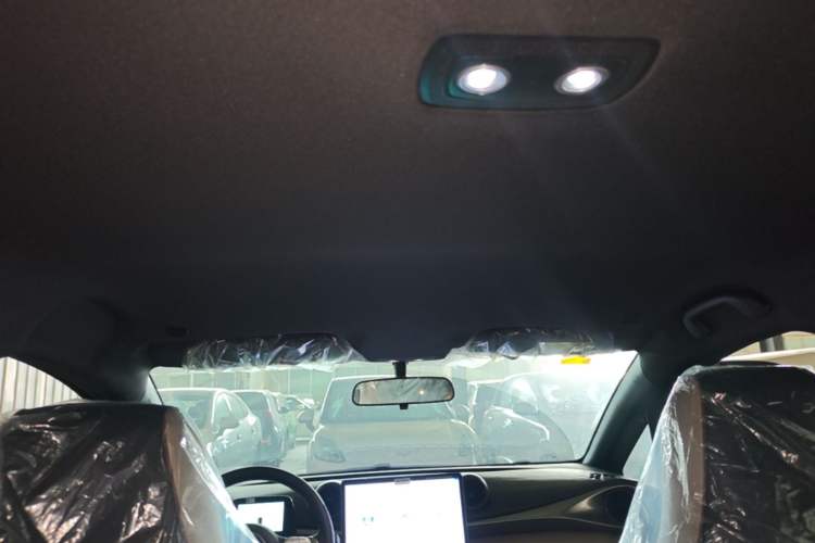 Used BYD Dolphin 2025 420km Free Edition Headliner