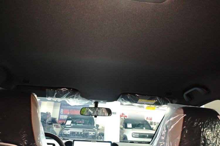 Used BYD Dolphin 2025 420km Free Edition Headliner