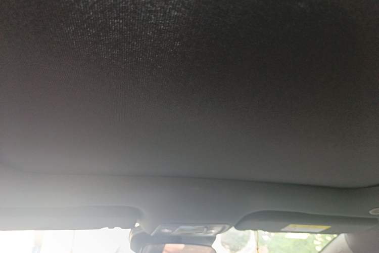 Used BYD Dolphin 2025 Intelligent Driving Version 410 km Fashion Edition Headliner