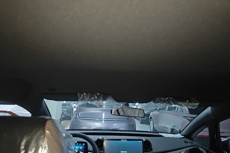 Used BYD Dolphin 2025 420km Free Edition Headliner