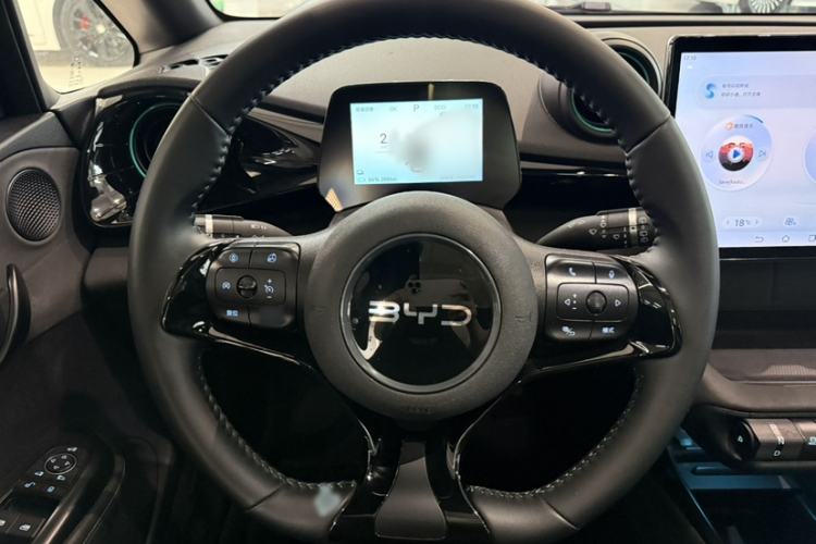 Used BYD Dolphin 2025 420km Fashion Edition Interior 7