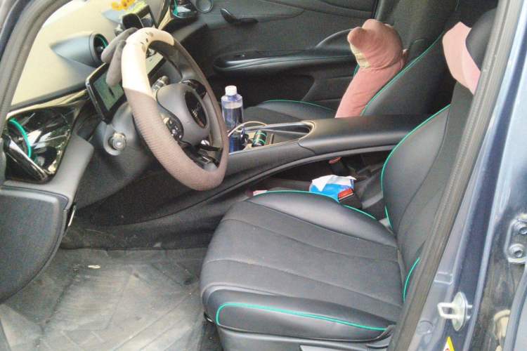 Used BYD Dolphin 2025 420km Active Version Left Front Seat