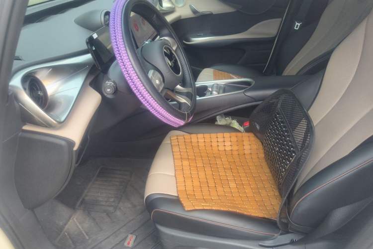 Used BYD Dolphin 2025 420km Free Edition Left Front Seat
