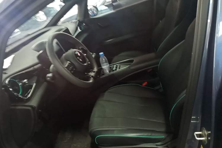Used BYD Dolphin 2025 Smart Drive Version 420 km Freedom Edition Left Front Seat