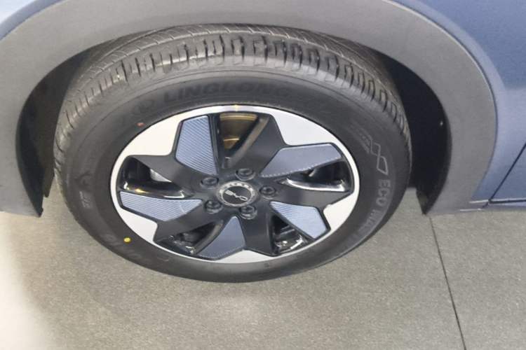 Used BYD Dolphin 2025 420km Free Edition Left Front Wheel Hub