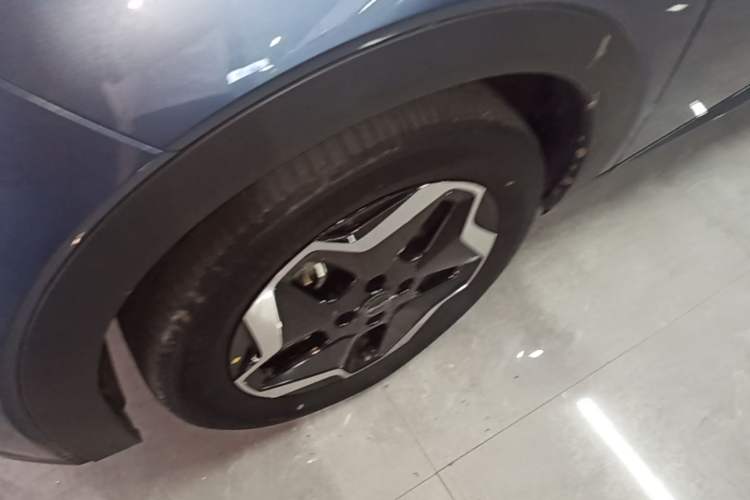 Used BYD Dolphin 2025 Smart Drive Version 420 km Freedom Edition Left Front Wheel Hub