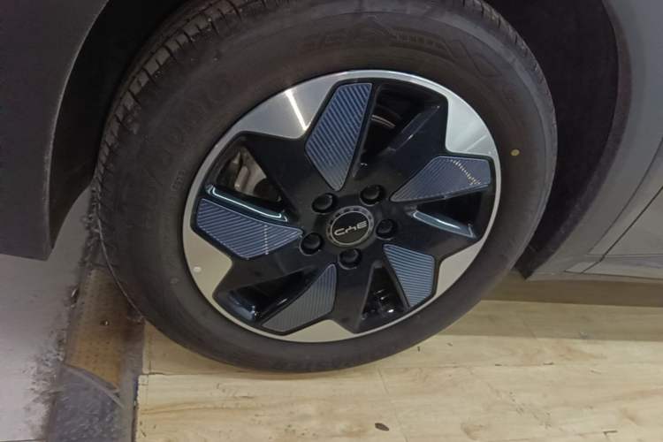 Used BYD Dolphin 2025 420km Free Edition Left Front Wheel Hub