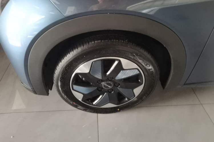 Used BYD Dolphin 2025 420km Free Edition Left Front Wheel Hub