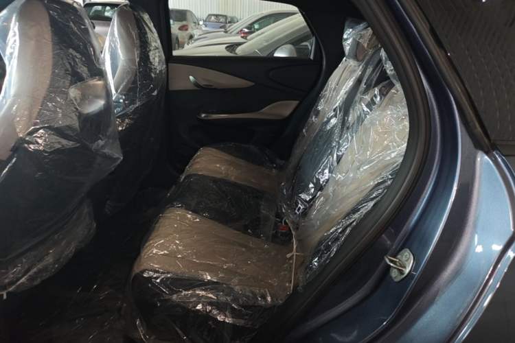 Used BYD Dolphin 2025 420km Free Edition Left Rear Seat