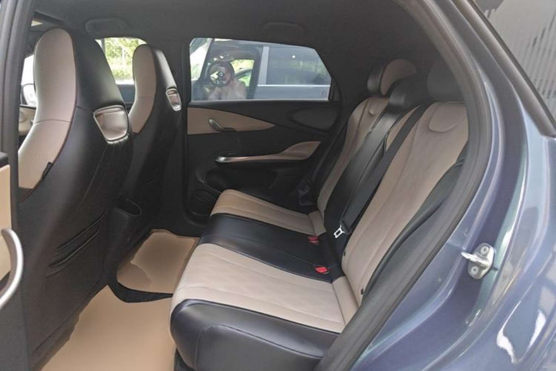 Used BYD Dolphin 2025 420km Free Edition Left Rear Seat