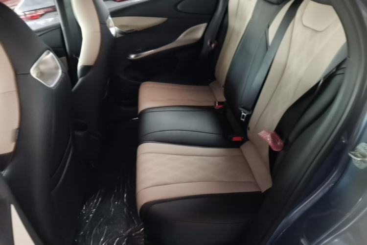 Used BYD Dolphin 2025 420km Free Edition Left Rear Seat