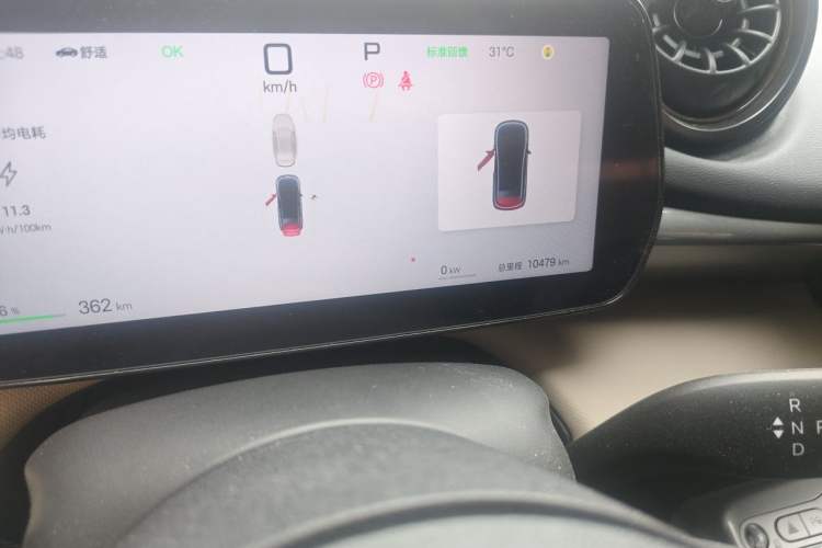 Used BYD Dolphin 2025 Smart Drive Version 420 km Freedom Edition Odometer Close Up