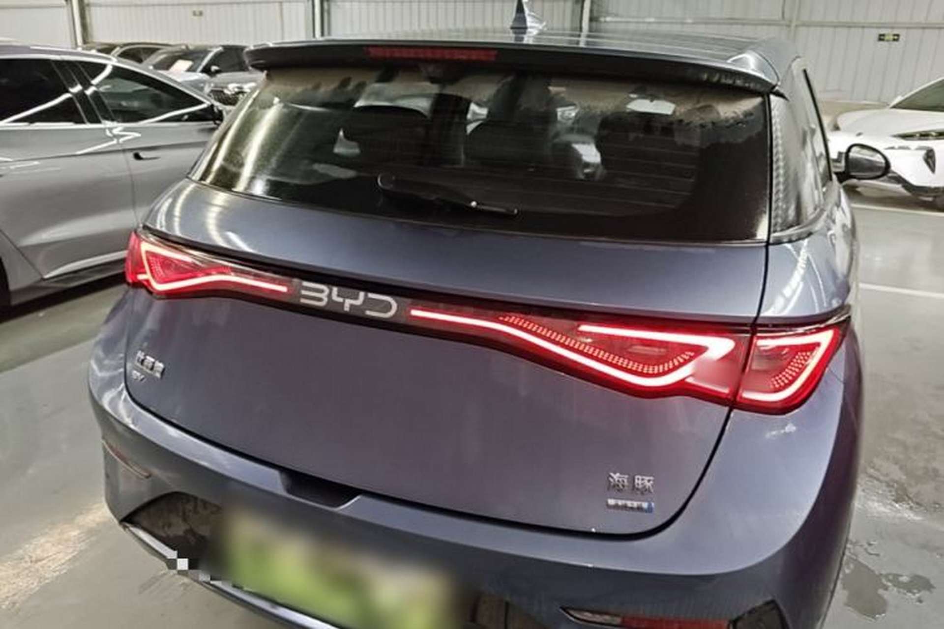 Used BYD Dolphin 2025 Intelligent Driving Version 410 km Fashion Edition Rear