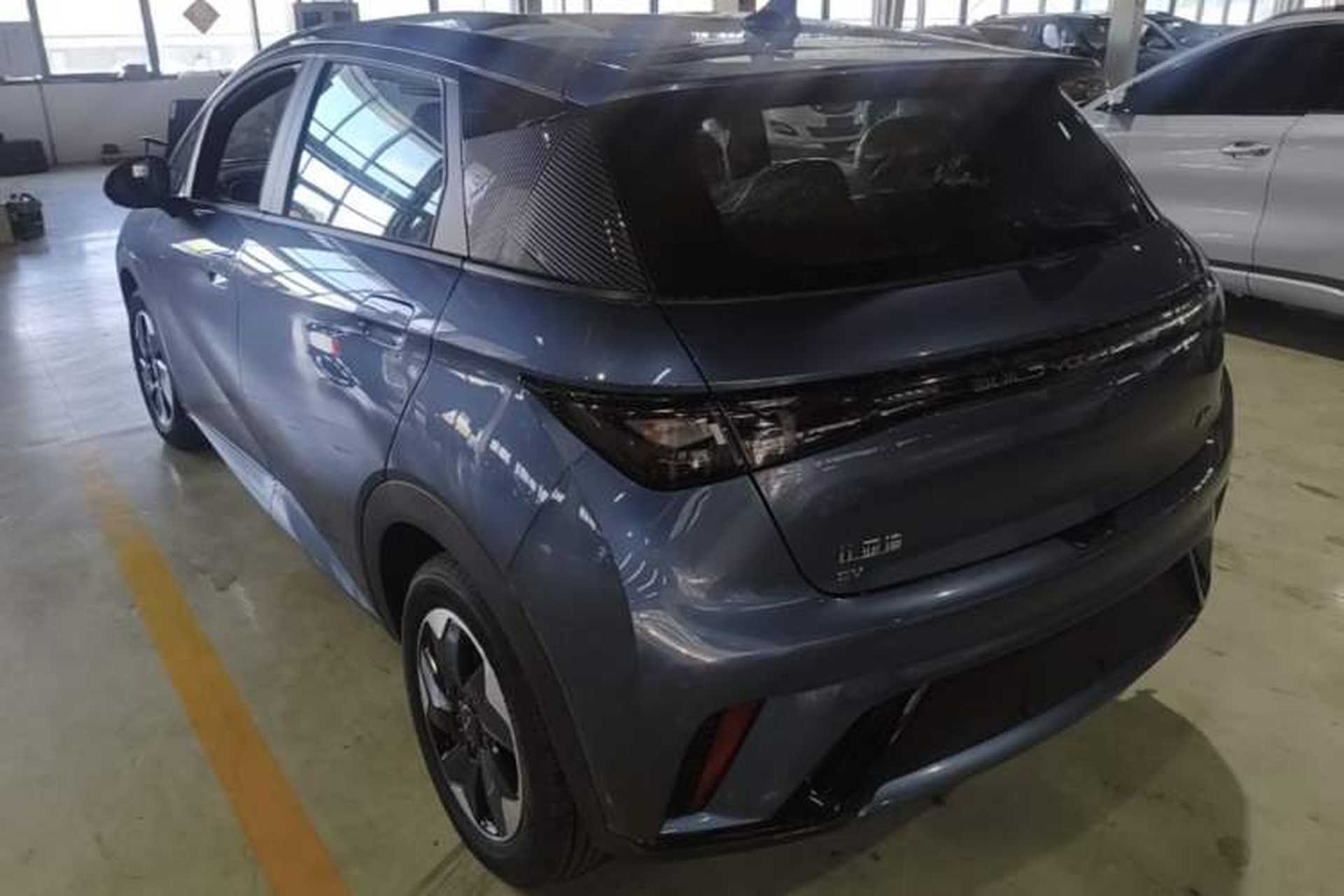 Used BYD Dolphin 2025 420km Free Edition Rear Left 45 Deg