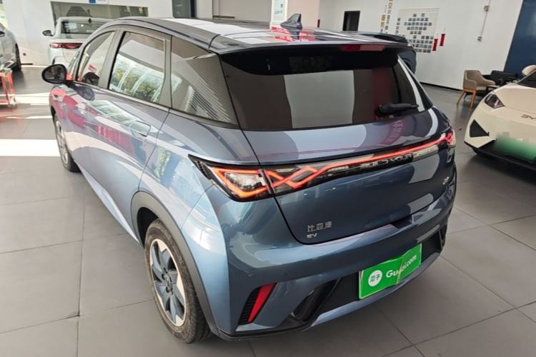 Used BYD Dolphin 2025 420km Fashion Edition Rear Left 45 Deg
