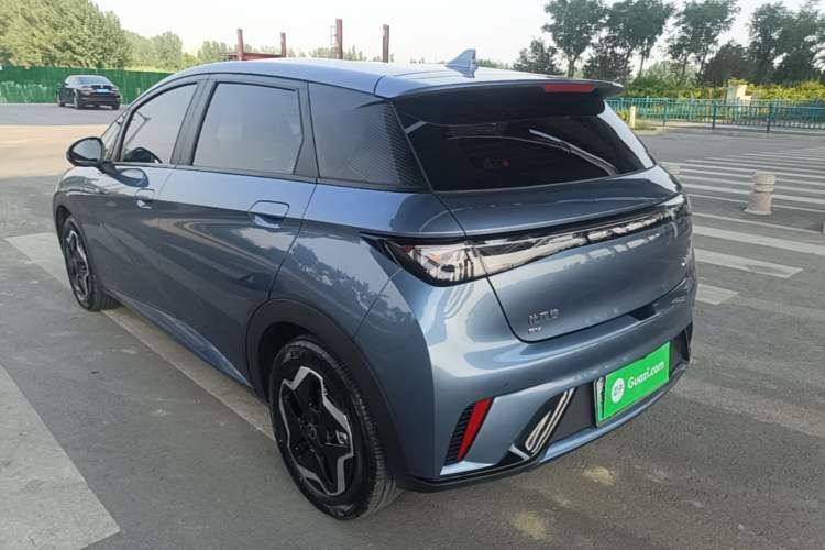 Used BYD Dolphin 2025 420km Active Version Rear Left 45 Deg