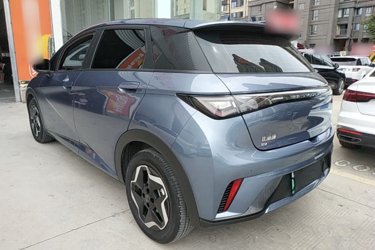 Used BYD Dolphin 2025 420km Active Version Rear Left 45 Deg
