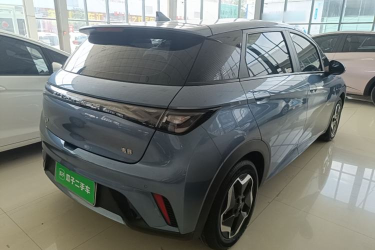 Used BYD Dolphin 2025 420km Active Version Rear Right 45 Deg