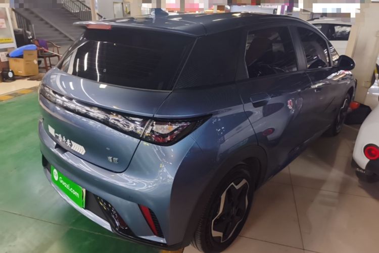 Used BYD Dolphin 2025 420km Active Version Rear Right 45 Deg