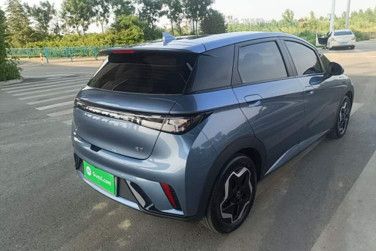 Used BYD Dolphin 2025 420km Active Version Rear Right 45 Deg