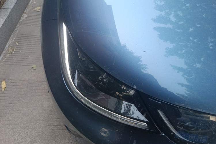 Used BYD Dolphin 2025 Intelligent Driving Version 410 km Fashion Edition Right Front Headlight