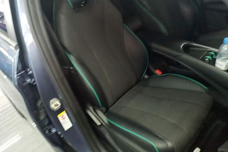 Used BYD Dolphin 2025 Smart Drive Version 420 km Freedom Edition Right Front Seat