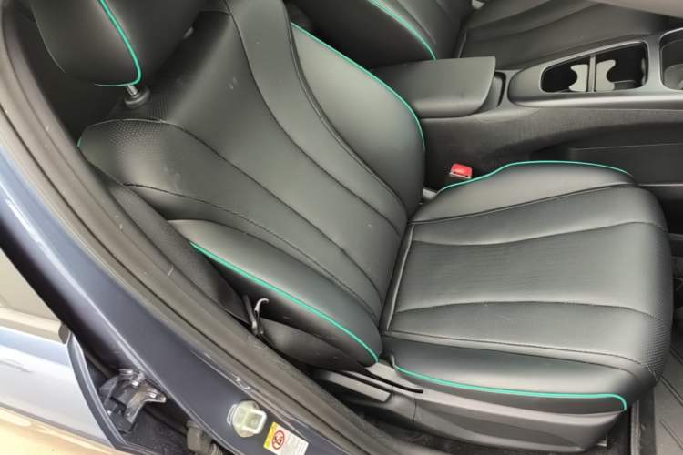 Used BYD Dolphin 2025 Smart Drive Version 420 km Freedom Edition Right Front Seat