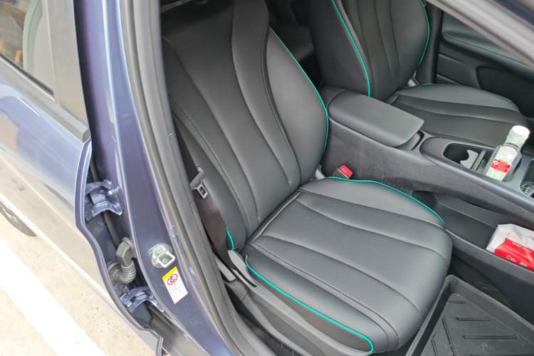 Used BYD Dolphin 2025 Smart Drive Version 420 km Freedom Edition Right Front Seat